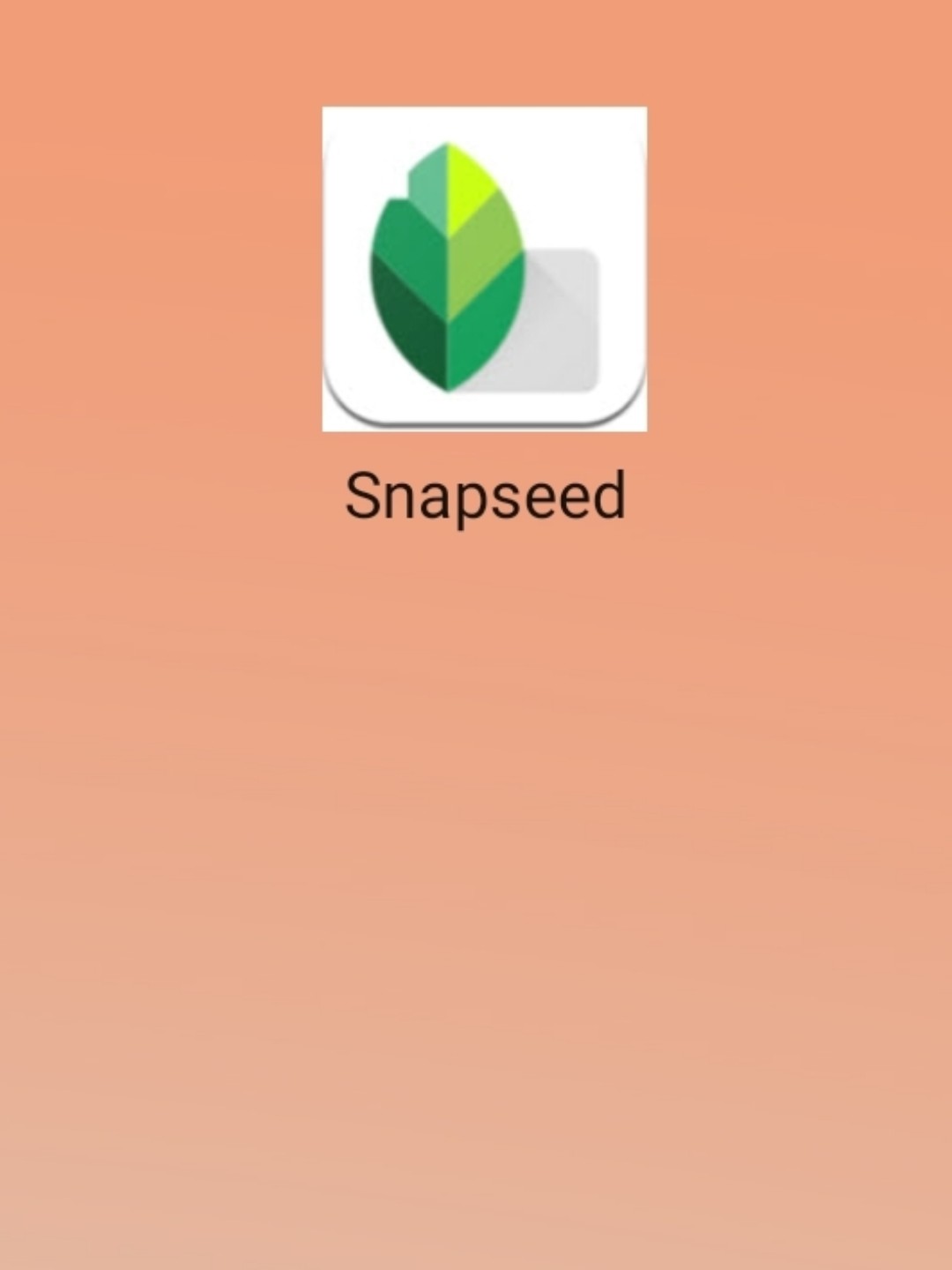 最新snapseed中文版，科技重塑影像，讓生活因攝影更精彩