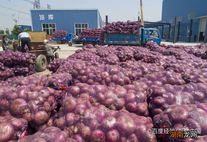 工程廠房燈具 第269頁(yè)
