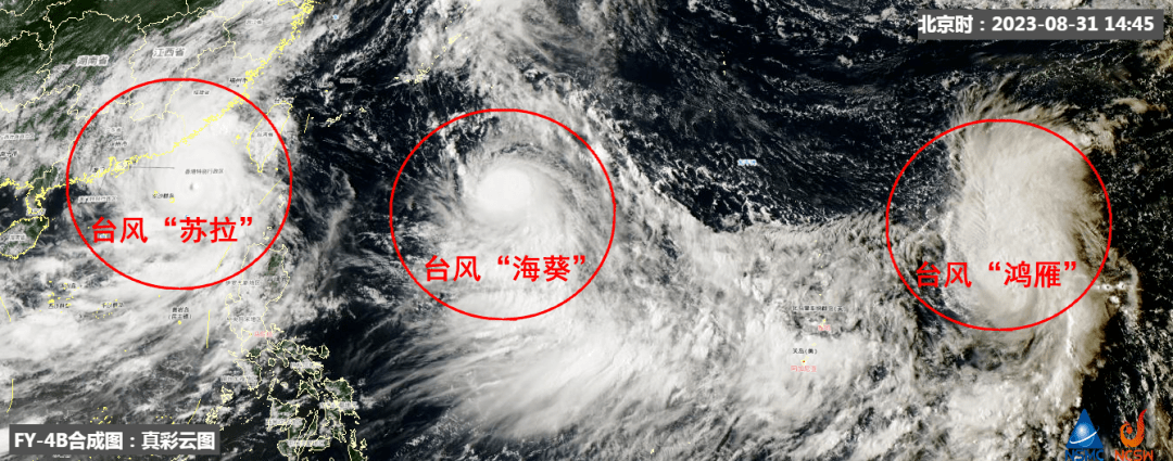 廣東臺(tái)風(fēng)最新消息與小巷深處的獨(dú)特風(fēng)味風(fēng)情