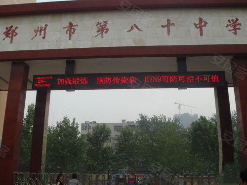 中原區(qū)九龍城最新動態(tài)深度解析，最新進(jìn)展與觀點闡述
