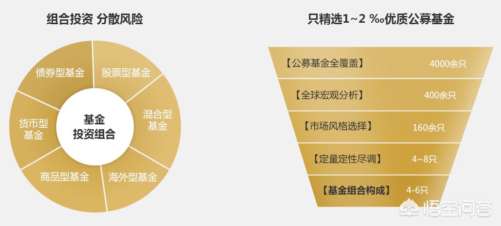 深度解析，今年養(yǎng)雞產(chǎn)業(yè)趨勢與前景展望