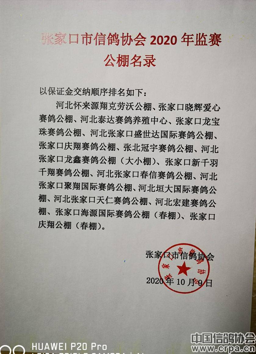 東光信鴿協(xié)會最新通告，小巷深處的獨特風味揭秘與信鴿活動更新通知