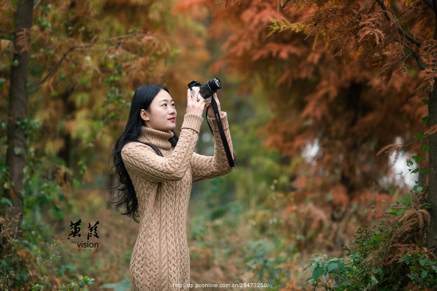 伊人在線電影，探索現(xiàn)代網(wǎng)絡(luò)影視的新境界