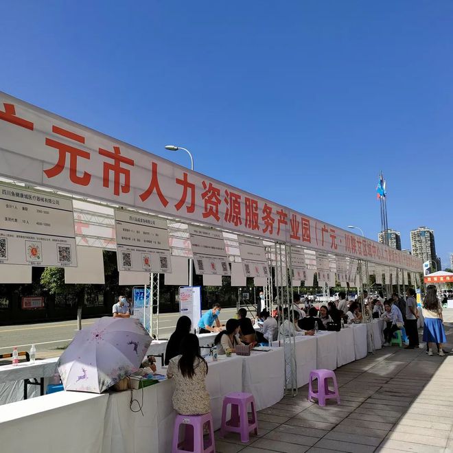 廣元最新招聘資訊詳解，觀點(diǎn)闡述與解析