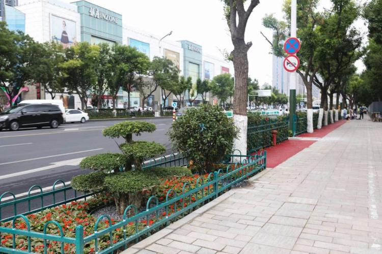 濰坊市奎文區(qū)改造工程，自然美景的探索之旅