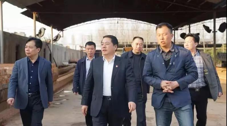 商丘王仲田最新動(dòng)態(tài)，探索自然美景的旅行，尋求內(nèi)心平和之旅