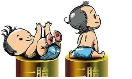 最新雙胞胎補助政策，攜手同行，助力孕育夢想之路
