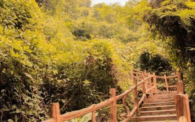 小99最新，科技、生活與娛樂的交融之地