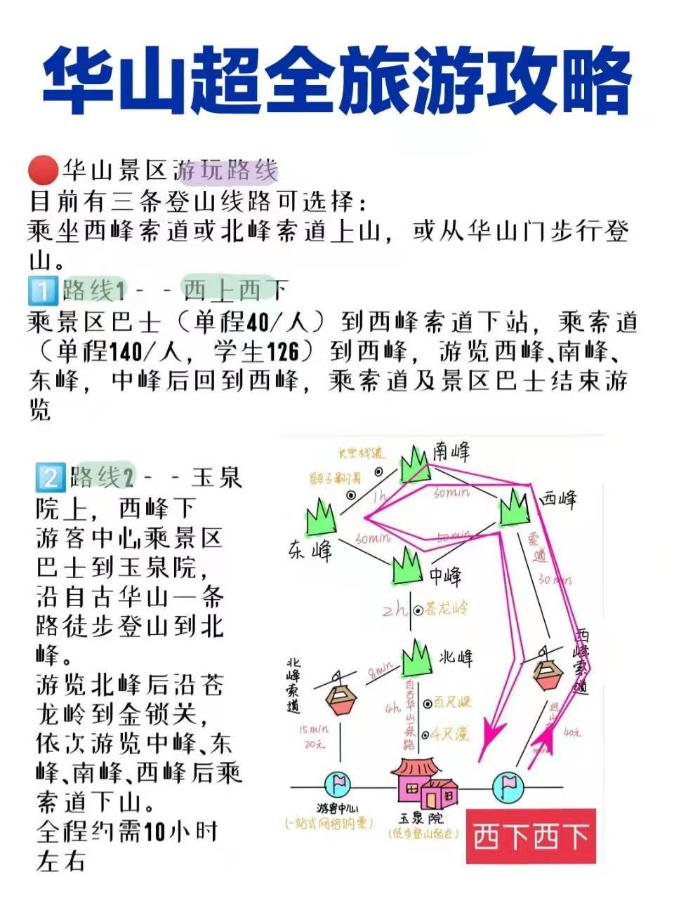 華山旅游最新探秘，小巷中的獨特風味之旅