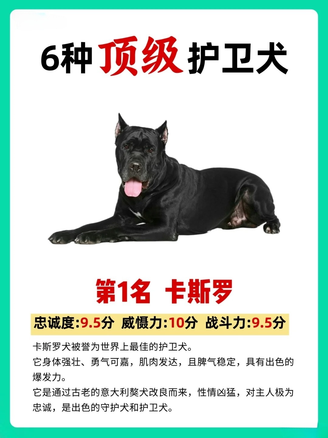 LED光源 第35頁(yè)