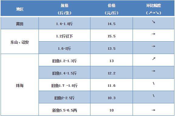 探索海鮮市場秘密，最新鱸魚價格一覽