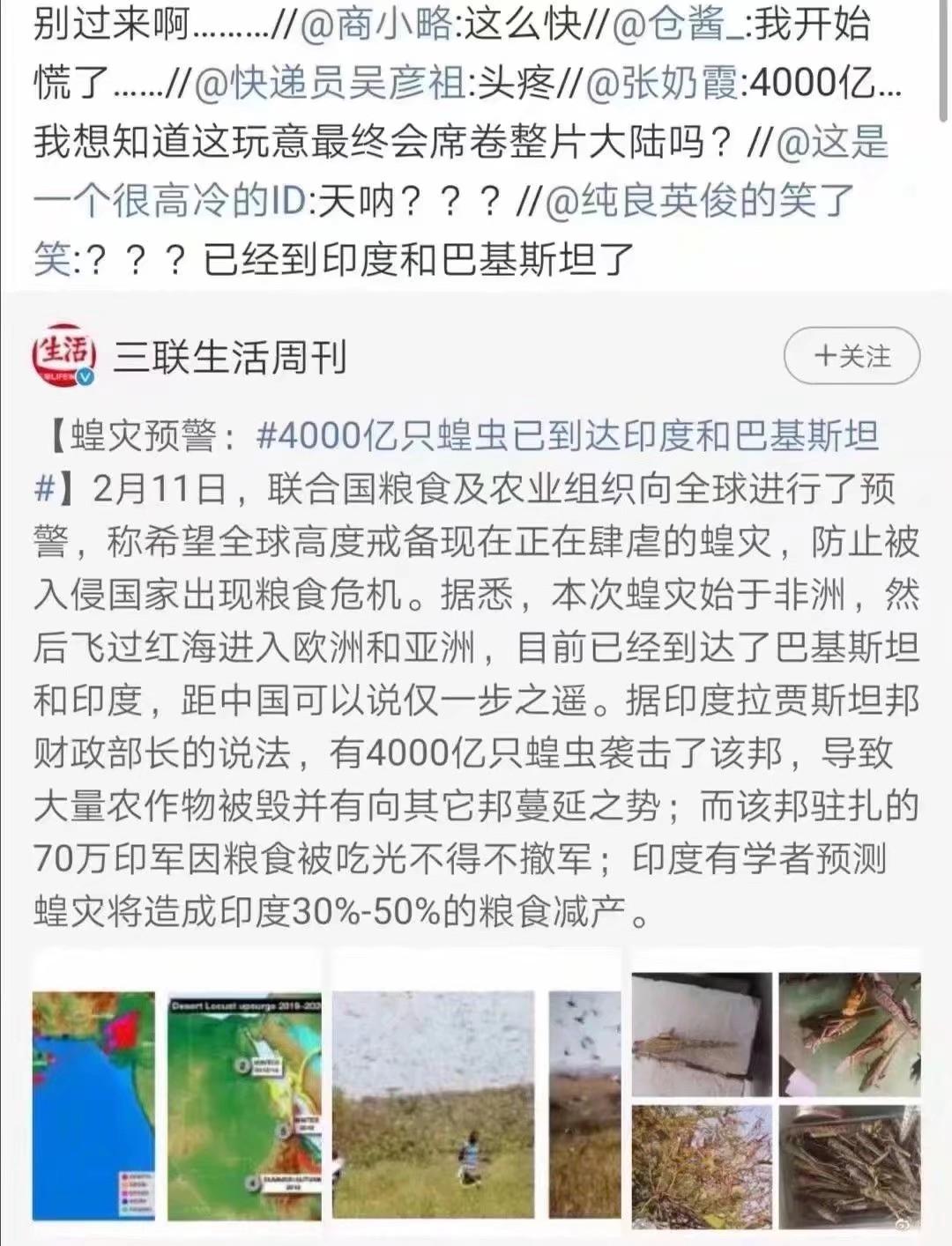 蝗蟲最新動態(tài)，防治與監(jiān)測的全面指南