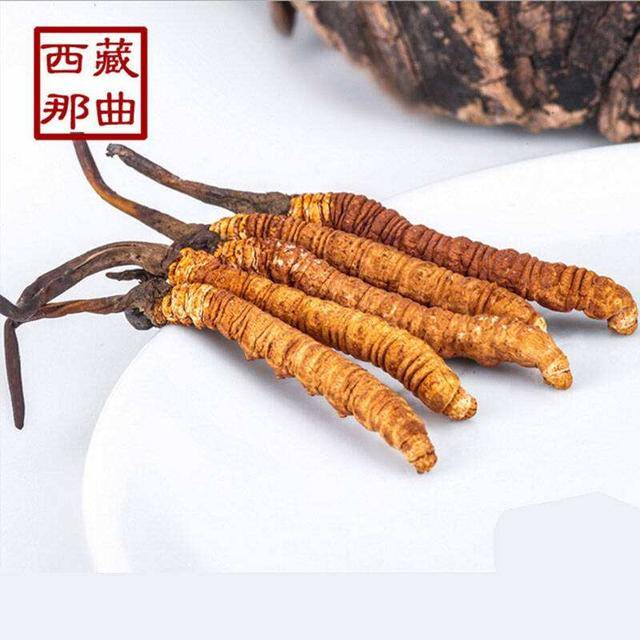 揭秘2025年蟲草最新價(jià)格，探尋小巷中的秘密行情！