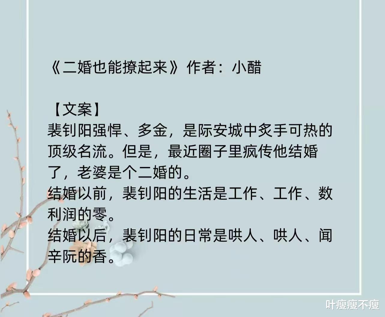 最新二婚小說，小巷深處的浪漫故事
